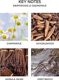 NEST New York Driftwood & Chamomile Reed Diffuser