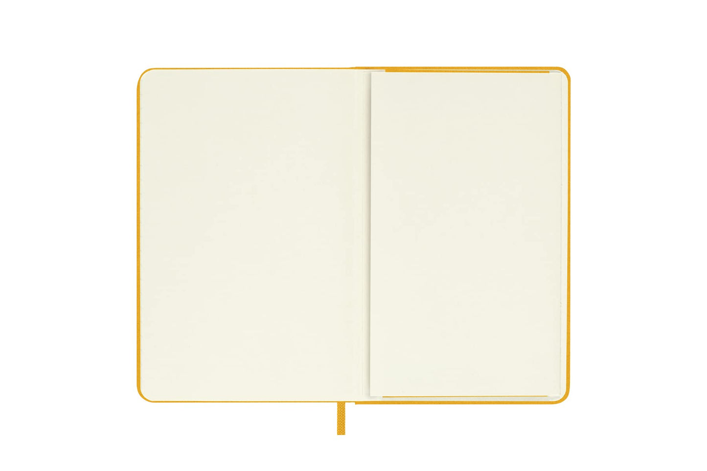 Moleskine Classic Notebook