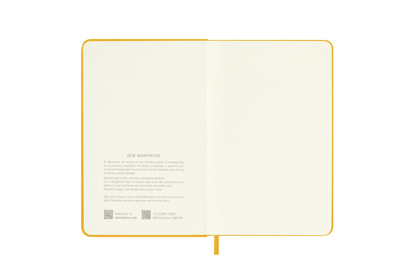 Moleskine Classic Notebook