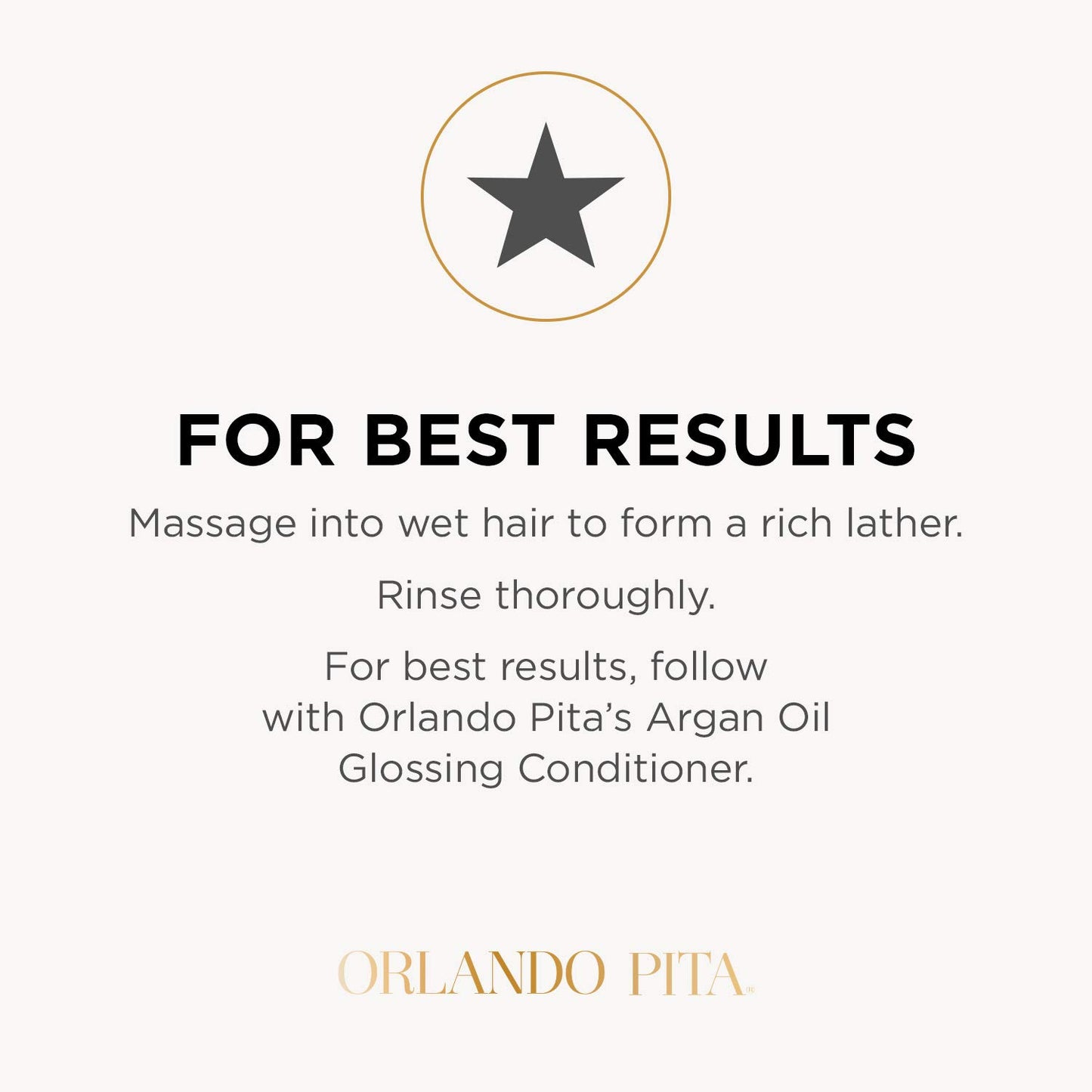 ORLANDO 1108984 Pita Argan Oil Shampoo 27 oz.